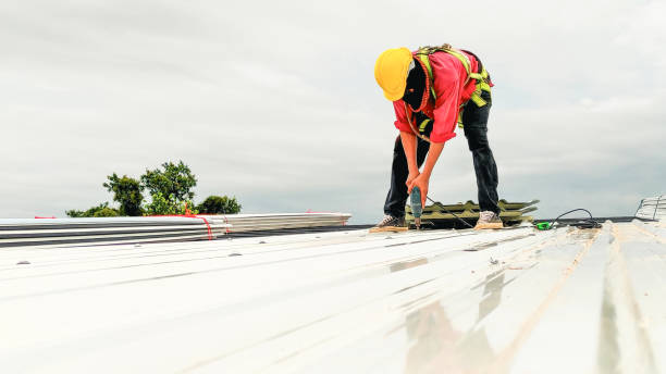 Best Green or Eco-Friendly Roofing Solutions  in Le Sueur, MN